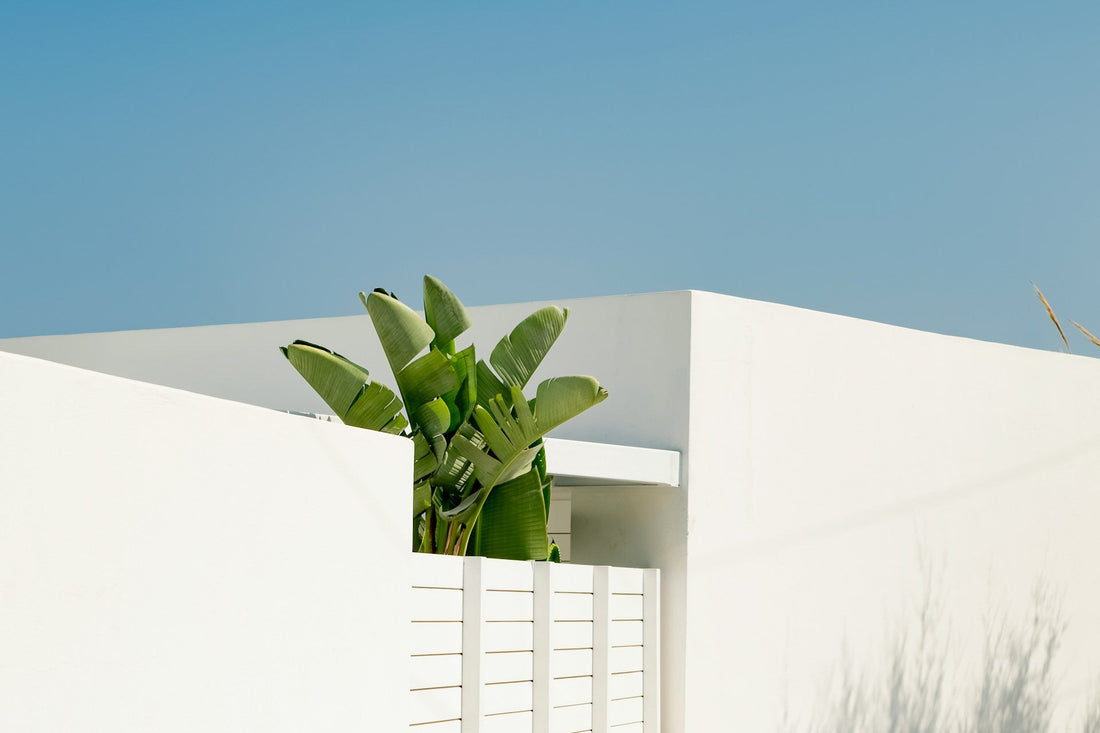 How Much of a Wall Should Art Cover? Guidelines for Effective Wall Art Placement