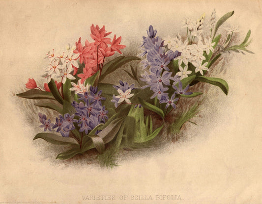 How to Choose Art That Compliments a Floral Still Life for a Harmonious Aesthetic