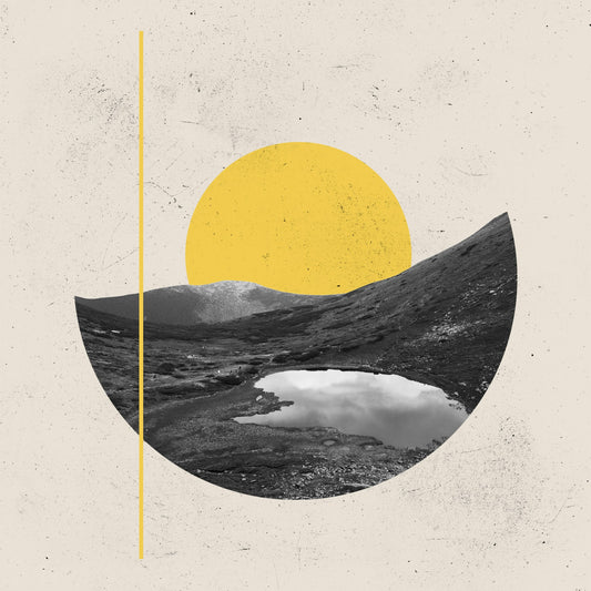 Still Life Art Posters: A Timeless Addition to Your Décor