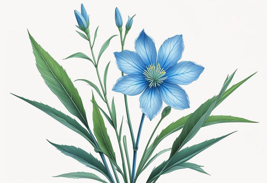 Blue Flower Botanical Print: A Timeless Design Trend