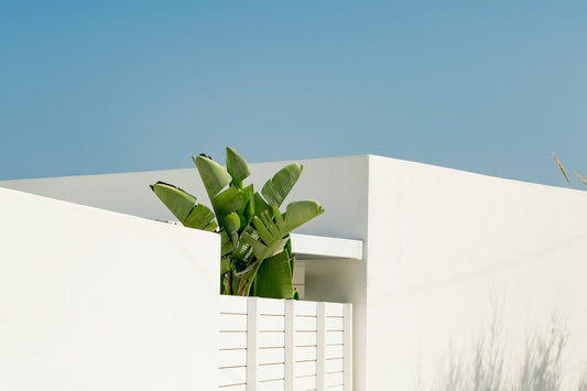 How Much of a Wall Should Art Cover? Guidelines for Effective Wall Art Placement