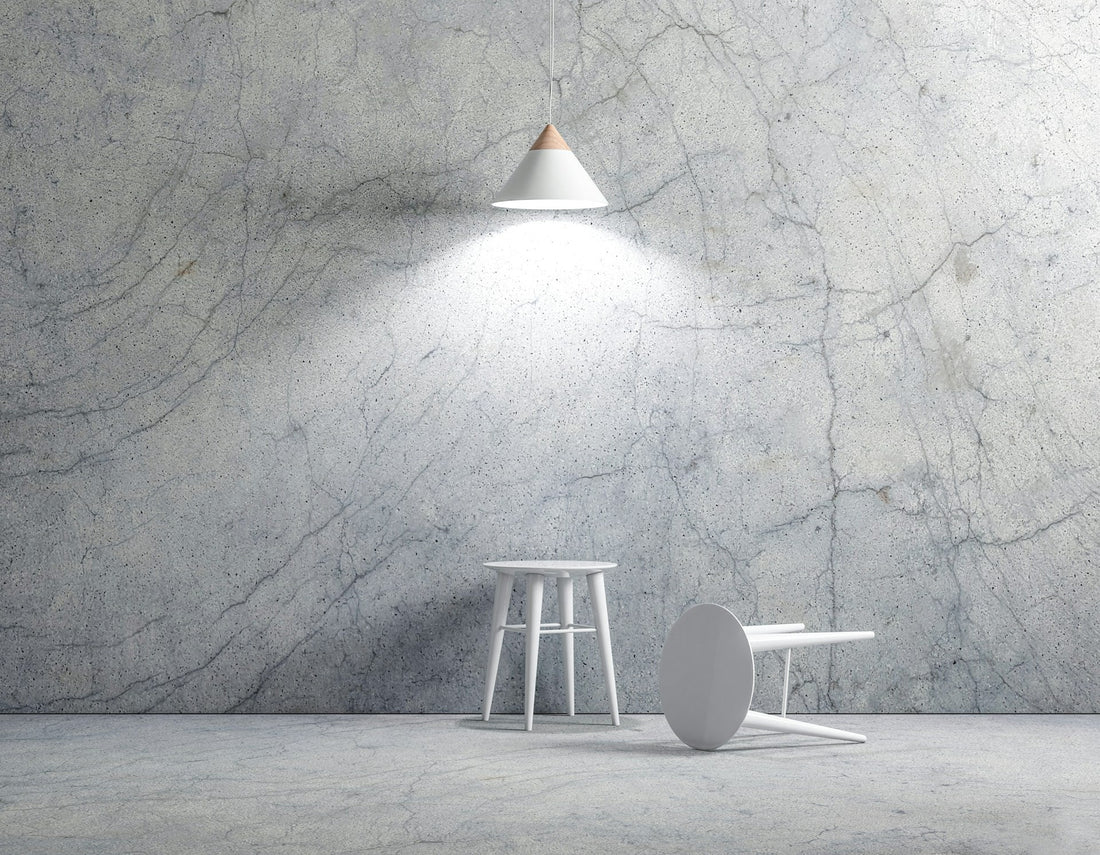 Posterized Gray Scale Still Life: A Study in Artistic Simplification and Depth