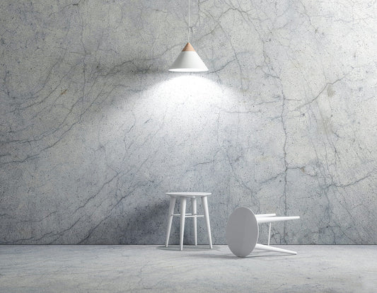 Posterized Gray Scale Still Life: A Study in Artistic Simplification and Depth