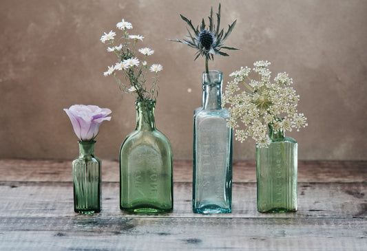 Still Life Posters Prints: Elevate Your Space with Timeless Artistry