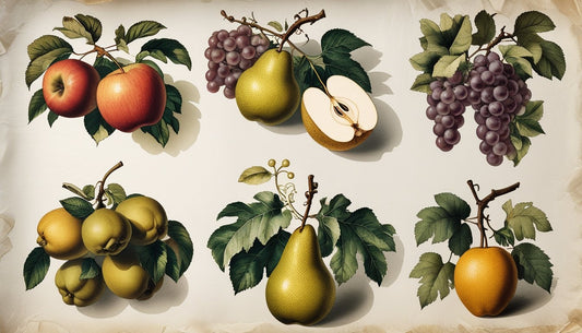Vintage Fruit Prints for Decor and Collecting
